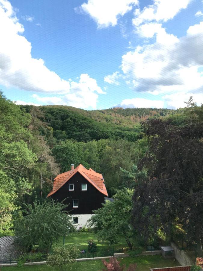 Brockenblick *